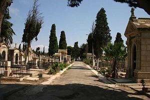 ORAN 2008 CIMETIERE DE TAMASHOUET 101 Allee principale